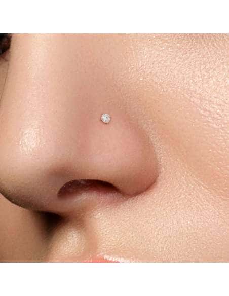 Servicio de Puesta Piercing Nostril Alto – Estudio The White Dog