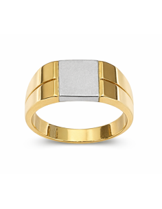 Sello para caballero Hueco - Oro Amarillo y Blanco 18K