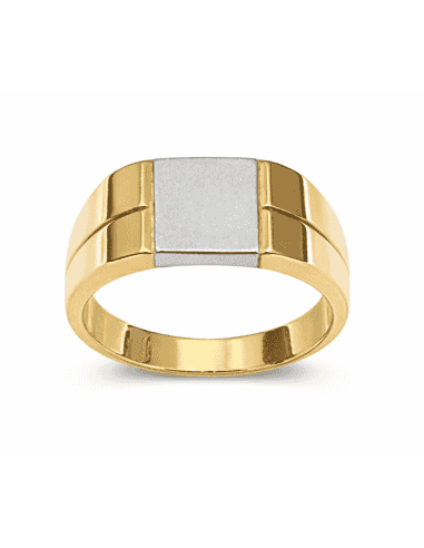 Sello para caballero Hueco - Oro Amarillo y Blanco 18K