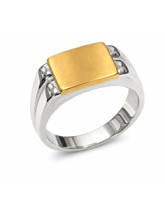Sello para caballero Hueco Bicolor - Oro amarillo y Blanco 18K
