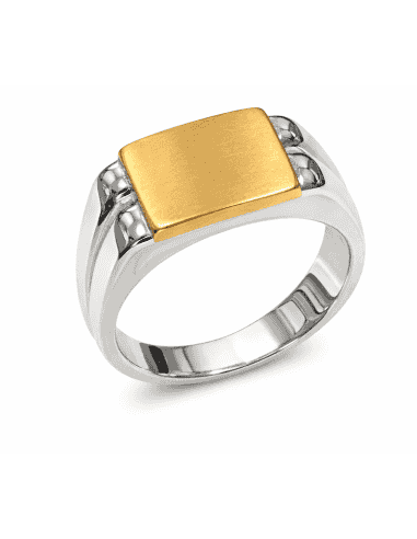 Sello para caballero Hueco Bicolor - Oro amarillo y Blanco 18K
