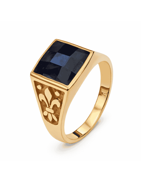 Sello para caballero Hueco con Zafiro - Oro Amarillo 18k