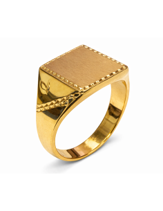 Sello para caballero cabeza Maciza - Oro amarillo 18K