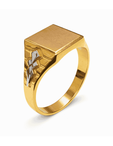 Sello para Caballero Hueco - Oro Amarillo y Blanco 18K