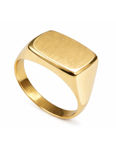 Sello Rectangular para Caballero Hueco - Oro Amarillo 18K