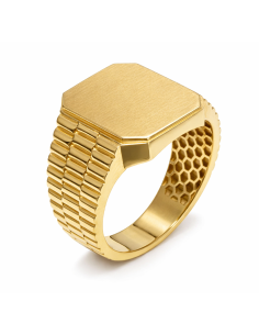 Sello Rectangular para Caballero Hueco - Oro Amarillo 18K