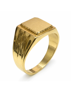 Sello de Oro para caballero Hueco- Oro Amarillo 18k