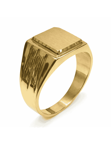 Sello de Oro para caballero Hueco- Oro Amarillo 18k