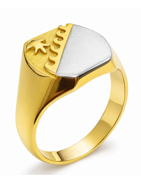 Sello Oval Bicolor  para Caballero - Oro Amarillo y Blanco 18K