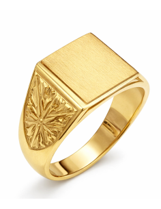 Sello para caballero Hueco - Oro amarillo 18K