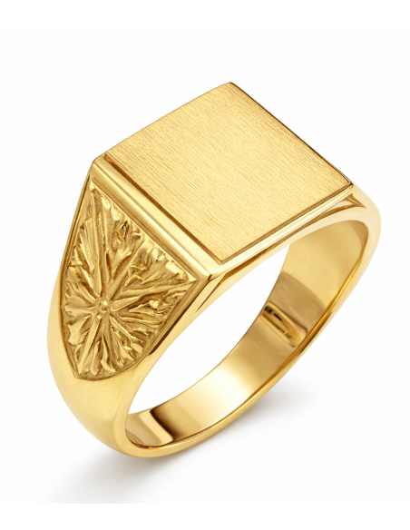 Sello para caballero Hueco - Oro amarillo 18K