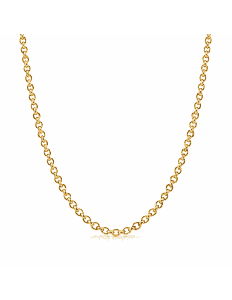 Cadena Caballero eslabón Rolo - Oro amarillo 18k