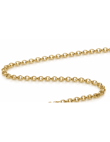 Cadena Caballero eslabón Roll-on de oro - Oro amarillo 18k