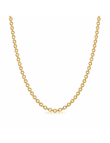 Cadena Caballero eslabón Rolo - Oro amarillo 18k