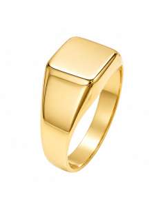 Sello de Oro para caballero Hueco con Cabeza Cuadrada Lisa - Oro Amarillo 18k