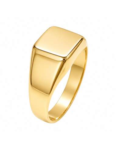 Sello de Oro para caballero Hueco con Cabeza Cuadrada Lisa - Oro Amarillo 18k