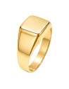 Sello de Oro para caballero Hueco con Cabeza Cuadrada Lisa - Oro Amarillo 18k