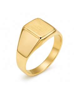 Sello de Oro para caballero Hueco con Cabeza Rectangular Satinada - Oro Amarillo 18k